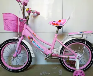 Pink Ladies Bike Size 20