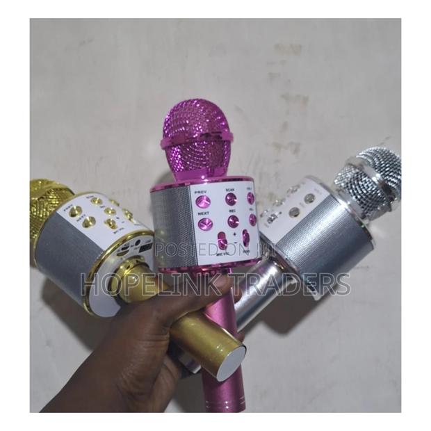 Microphone, Microphone, Microphone - main view