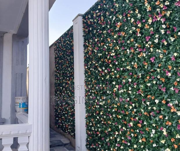 Boxwood Panels Hedges - main view