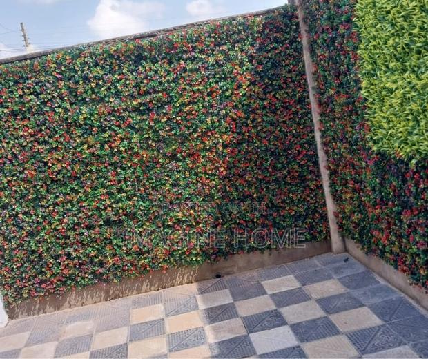 Boxwood Hedges