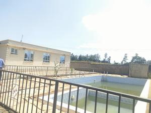 2 Acres Muranga Kayuyu With 3 Bedroomhouse