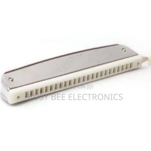 Double Sided Harmonica - thumbnail 2