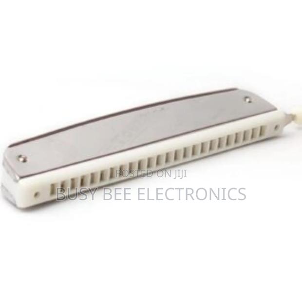 Double Sided Harmonica - main view