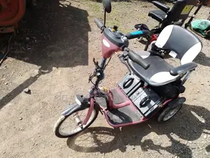 Reha Tech Tricycle Electric Wheel Chair