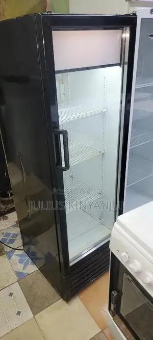300l Display Fridge Chiller