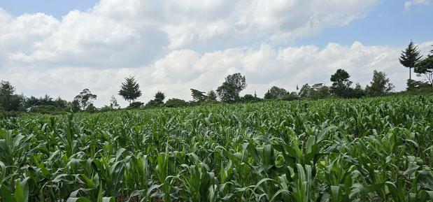 2 Acres for Sale in Chepkanga Eldoret