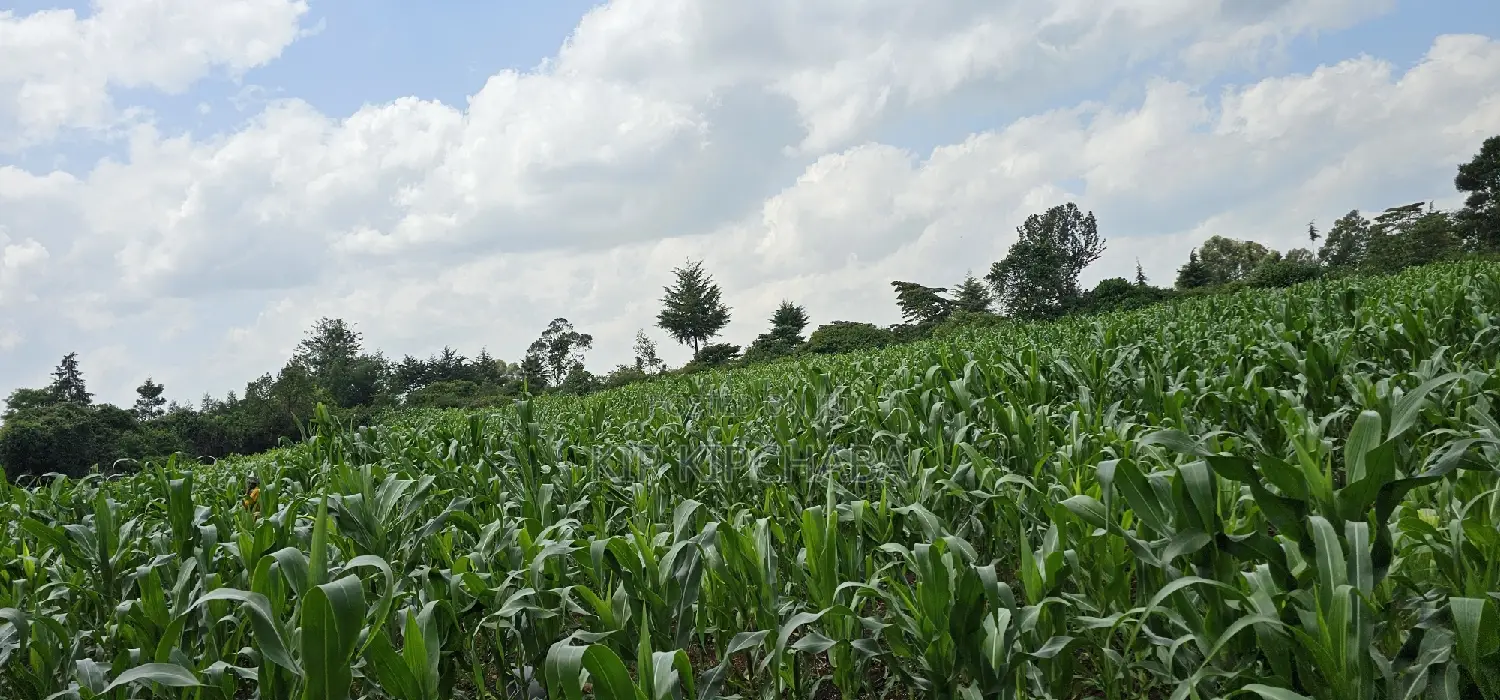 2 Acres for Sale in Chepkanga Eldoret