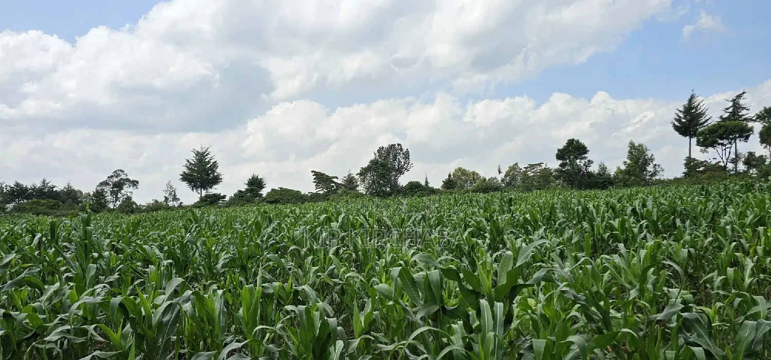 2 Acres for Sale in Chepkanga Eldoret