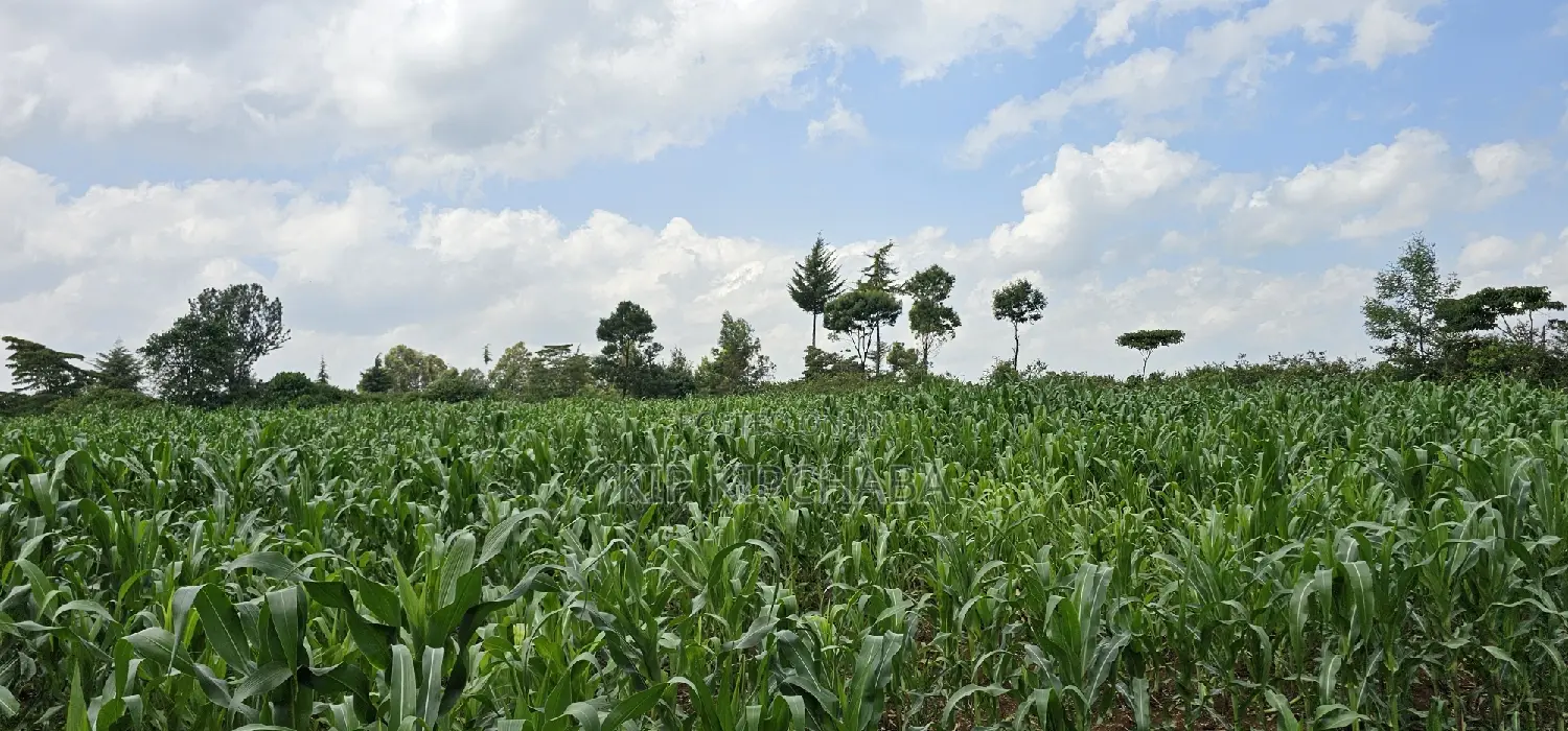 2 Acres for Sale in Chepkanga Eldoret