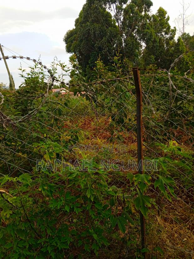 Two (2) 50*100 Plots at Mavivye Mumbuni - thumbnail 3