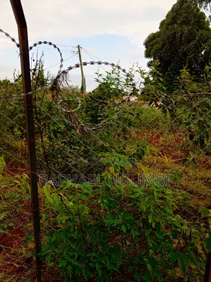 Two (2) 50*100 Plots at Mavivye Mumbuni