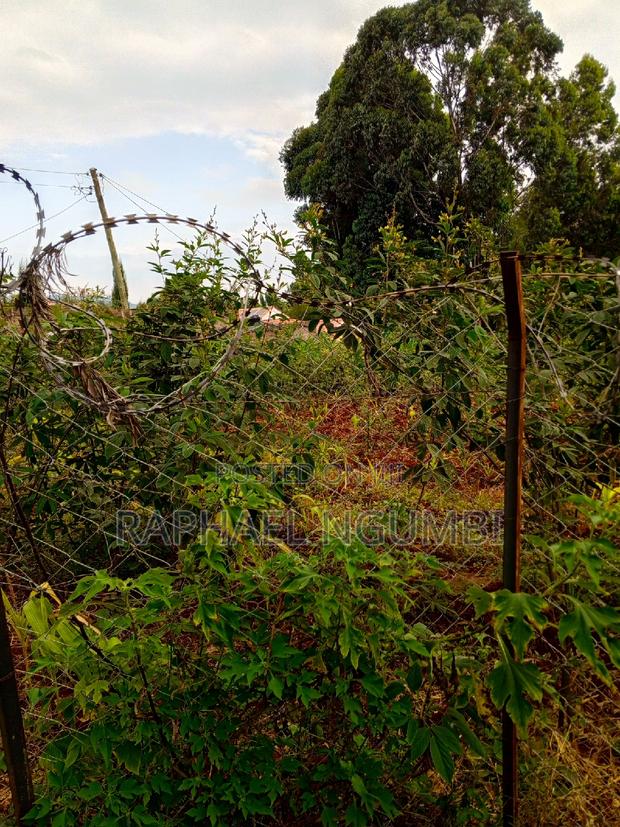 Two (2) 50*100 Plots at Mavivye Mumbuni - thumbnail 5