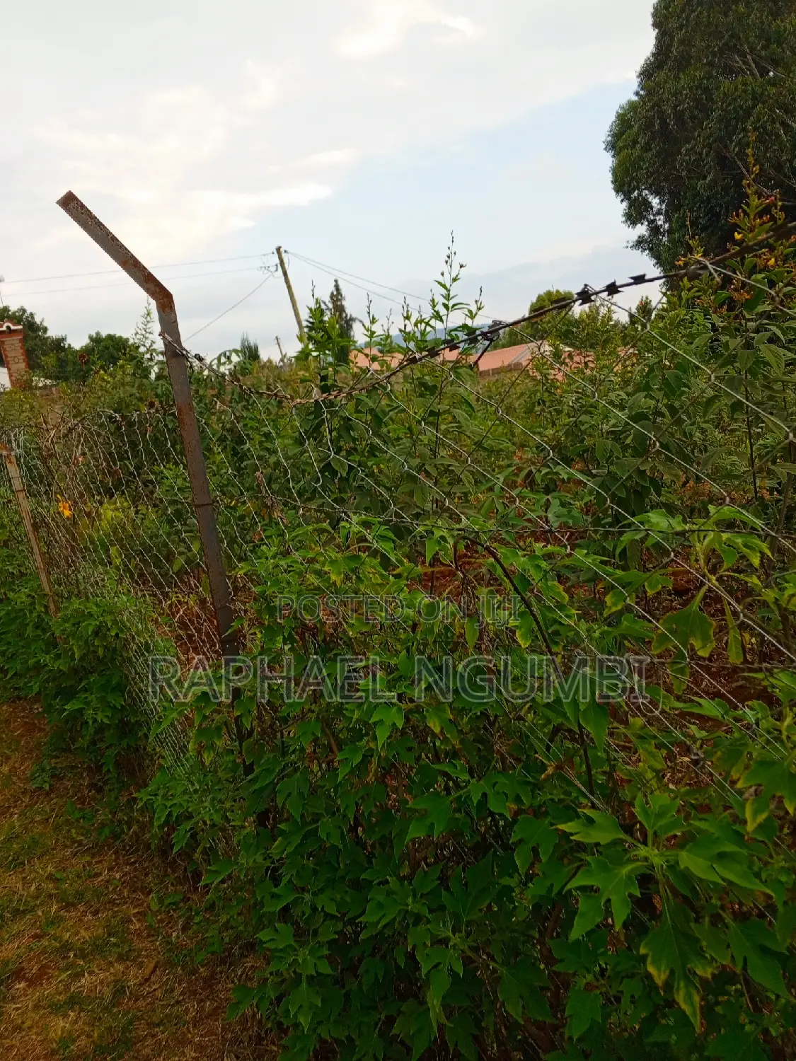 Two (2) 50*100 Plots at Mavivye Mumbuni