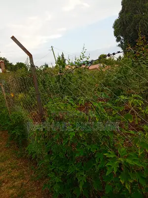 Two (2) 50*100 Plots at Mavivye Mumbuni
