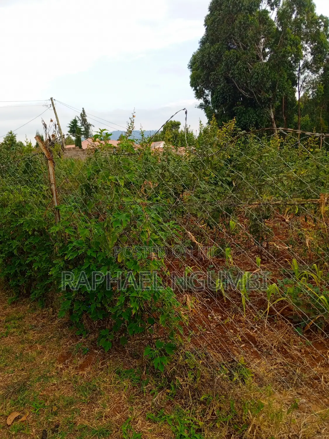 Two (2) 50*100 Plots at Mavivye Mumbuni