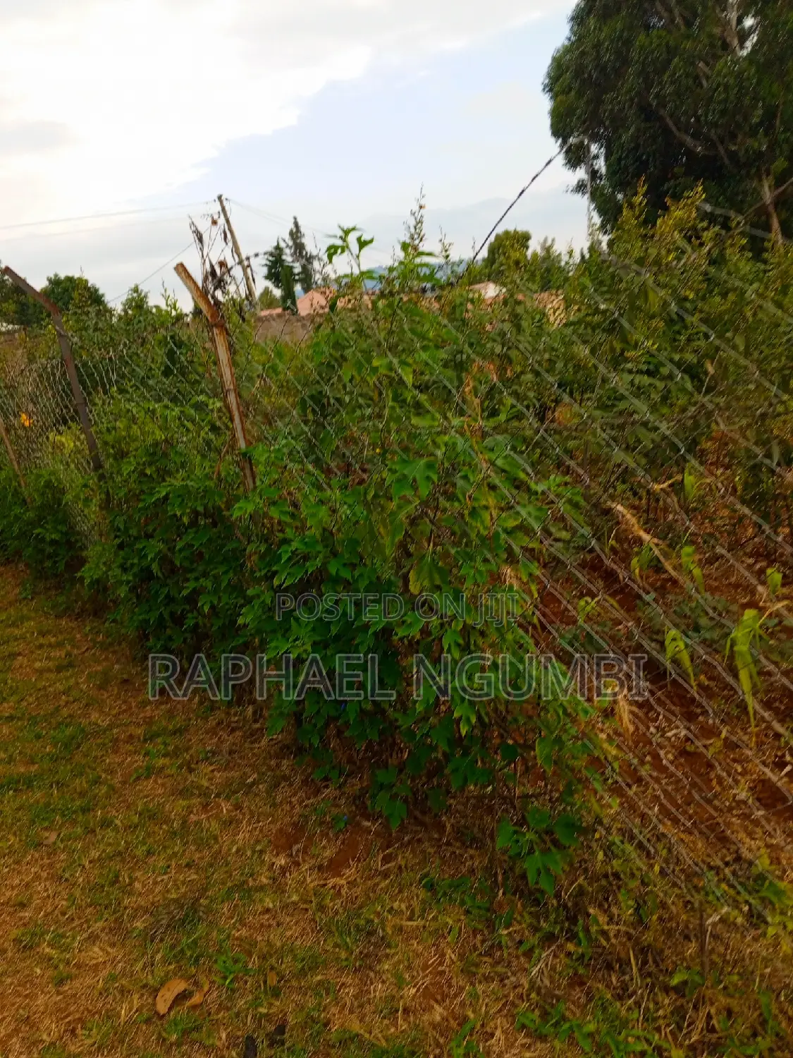 Two (2) 50*100 Plots at Mavivye Mumbuni