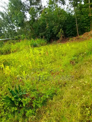 50*100 Plots at Mavivye Mumbuni