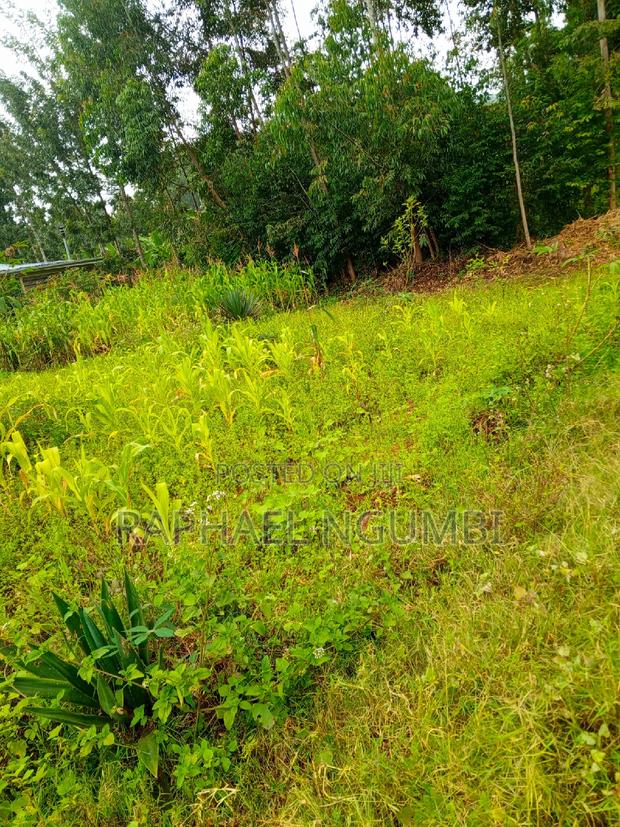 50*100 Plots at Mavivye Mumbuni - thumbnail 3