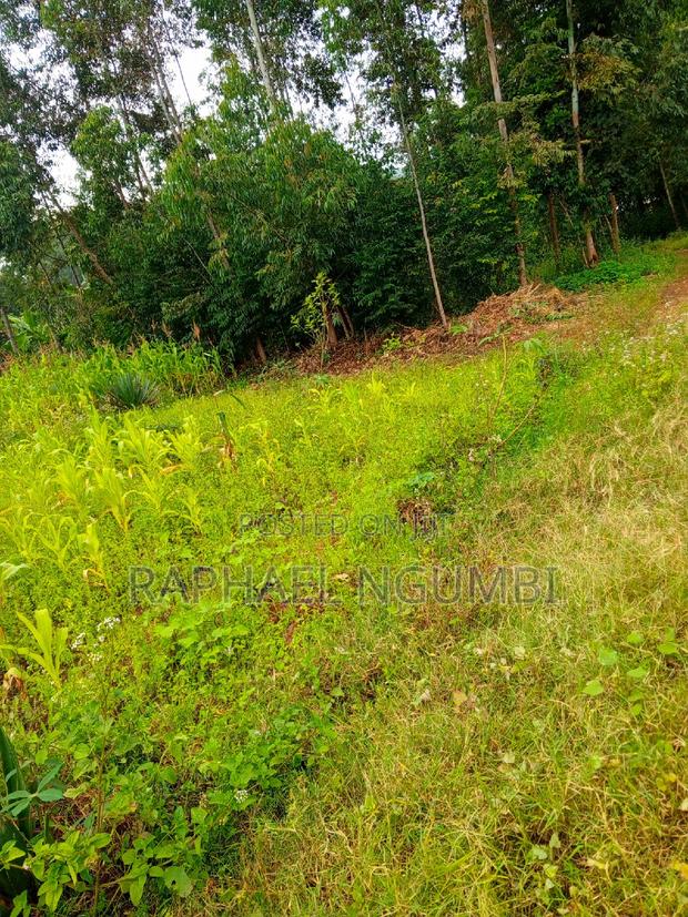 50*100 Plots at Mavivye Mumbuni - thumbnail 4