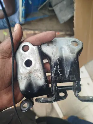 Subaru Door Hinges