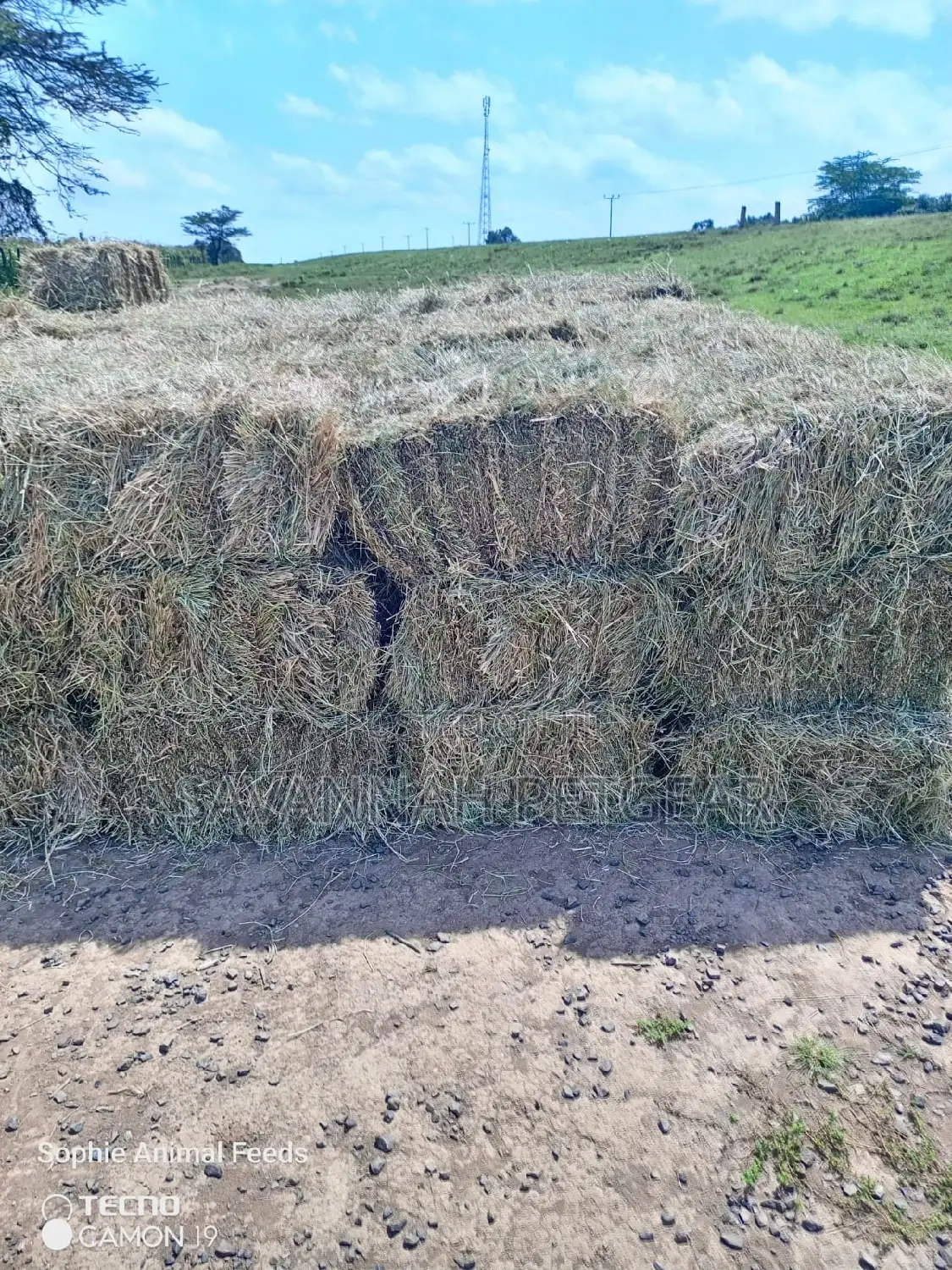 Boma Rhode Hay Bales