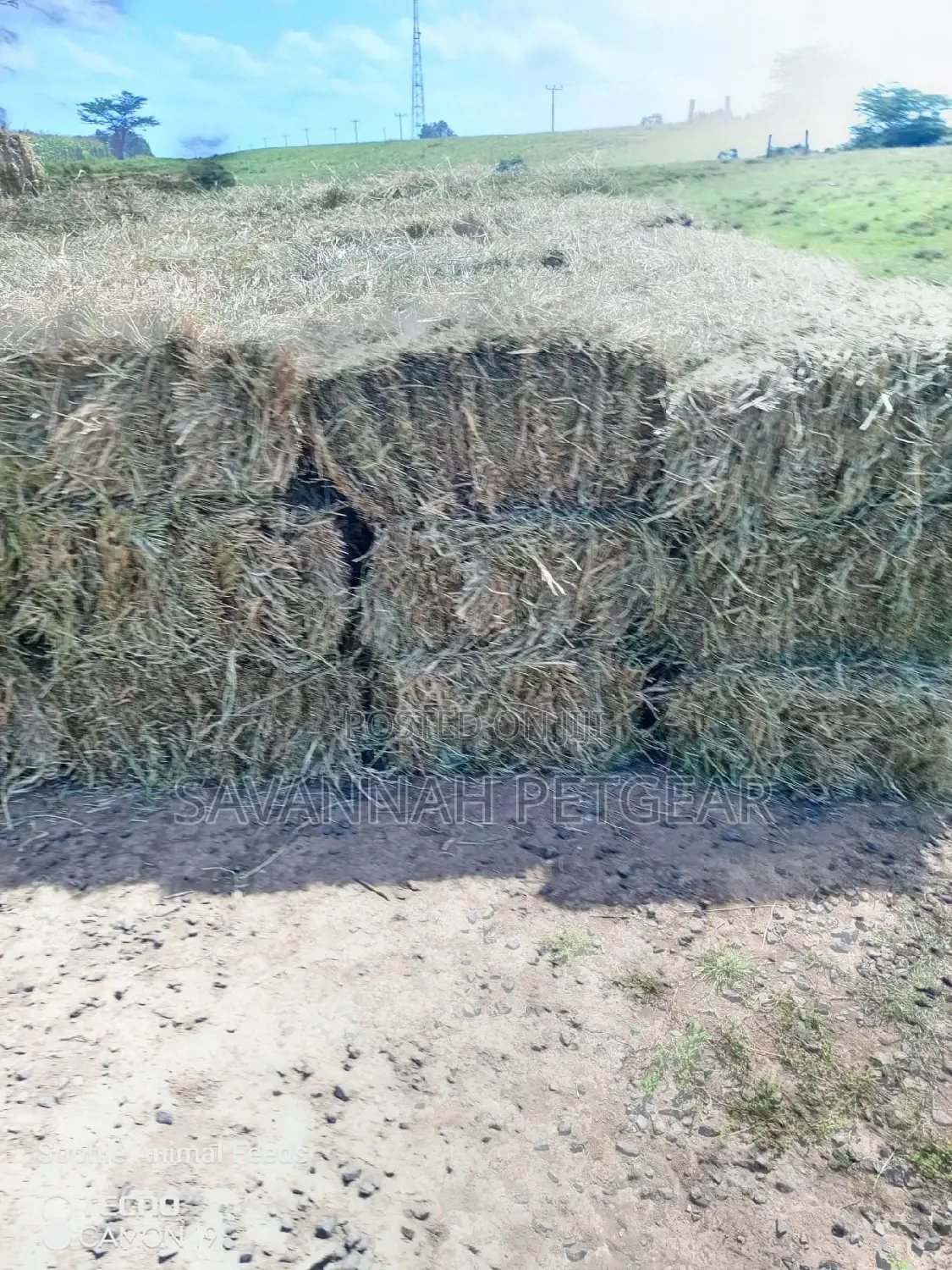 Boma Rhode Hay Bales