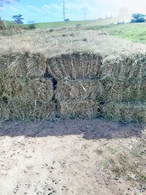 Boma Rhode Hay Bales