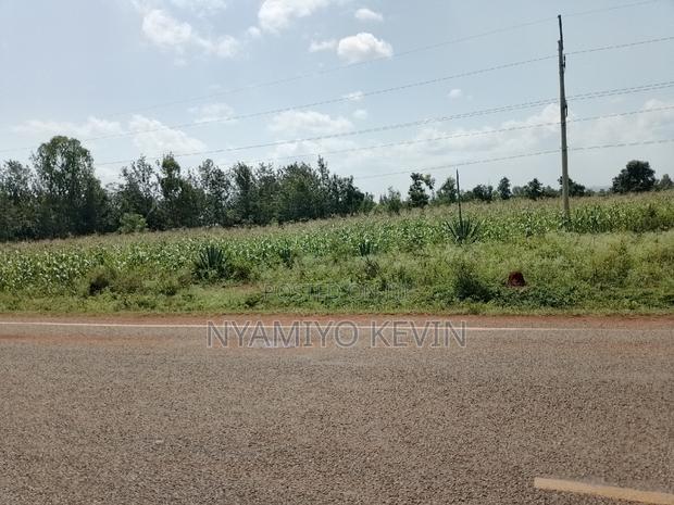 Bondo Nyawita - thumbnail 3