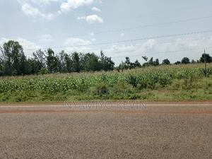 Bondo Nyawita - thumbnail 2