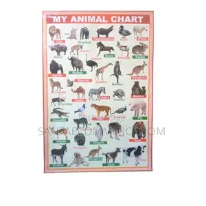 Animal Learning Wall Chart