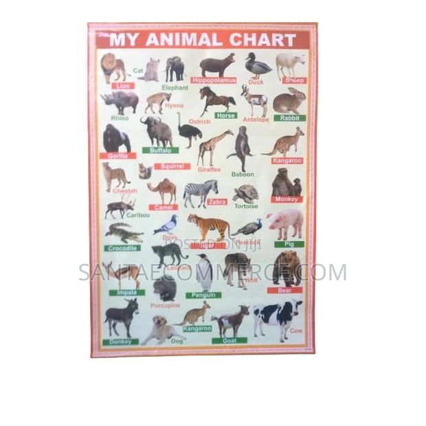 Animal Learning Wall Chart - main view