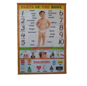 Kids Parts of the Body Learning Wall Chart