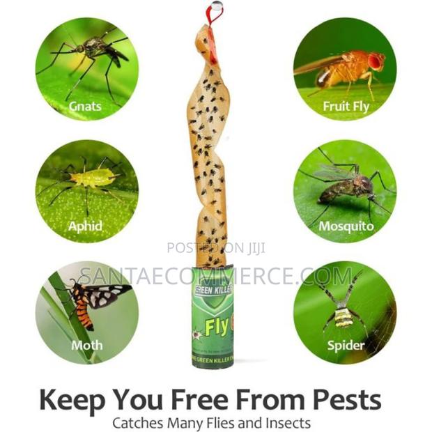 4 PCS Fly Catch Sticky Glue - main view