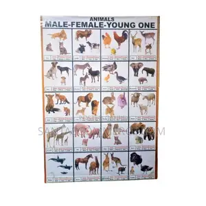 Animal Male Female and Young One Wall Chart