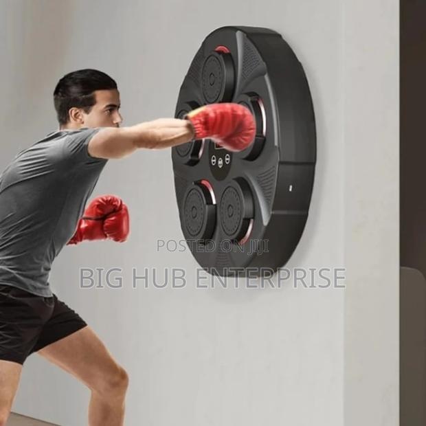 Wall Mounted Punch Boxing Trainer With LED Display - main view