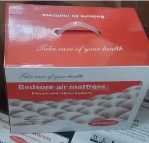 Bedsore Air Mattress