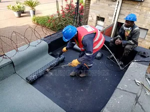 Quality Waterproofing Services Using APP Membrane