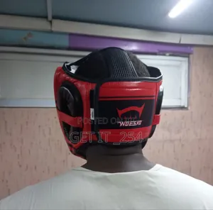 Boxing Headgear