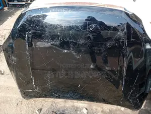 Toyota Vanguard Bonnet 2012