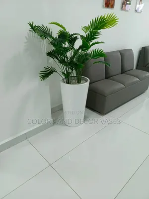 Palm Trees Alone 1m Long KSH 2500