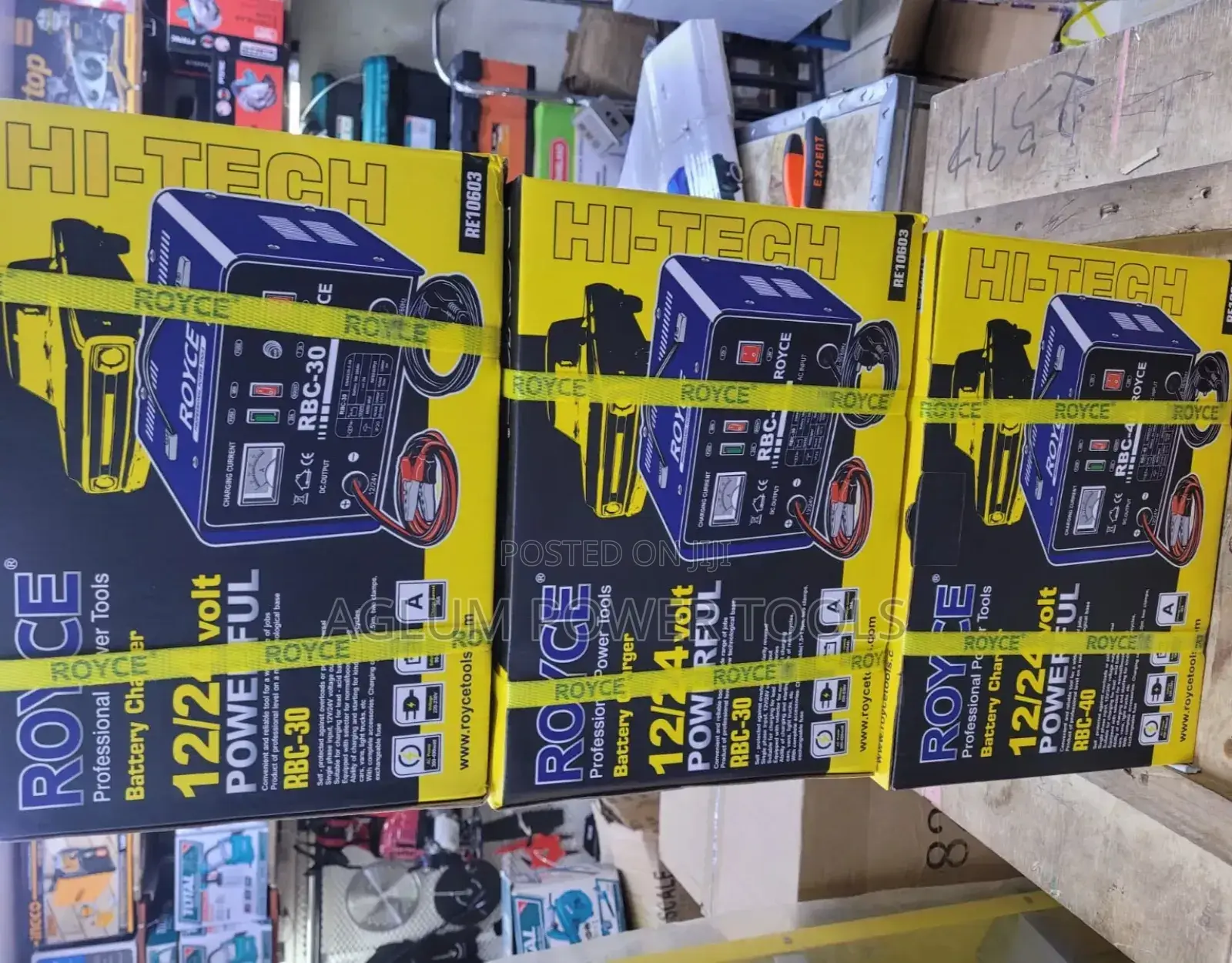 Professional Royce RBC Battery Charger 12/24
