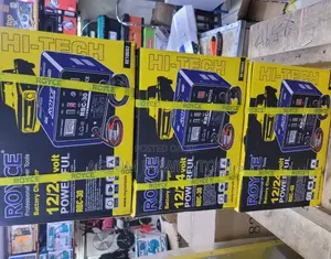 Professional Royce RBC Battery Charger 12/24