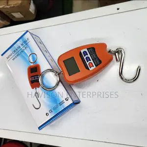 New Model 200kg Mini Crane Scale