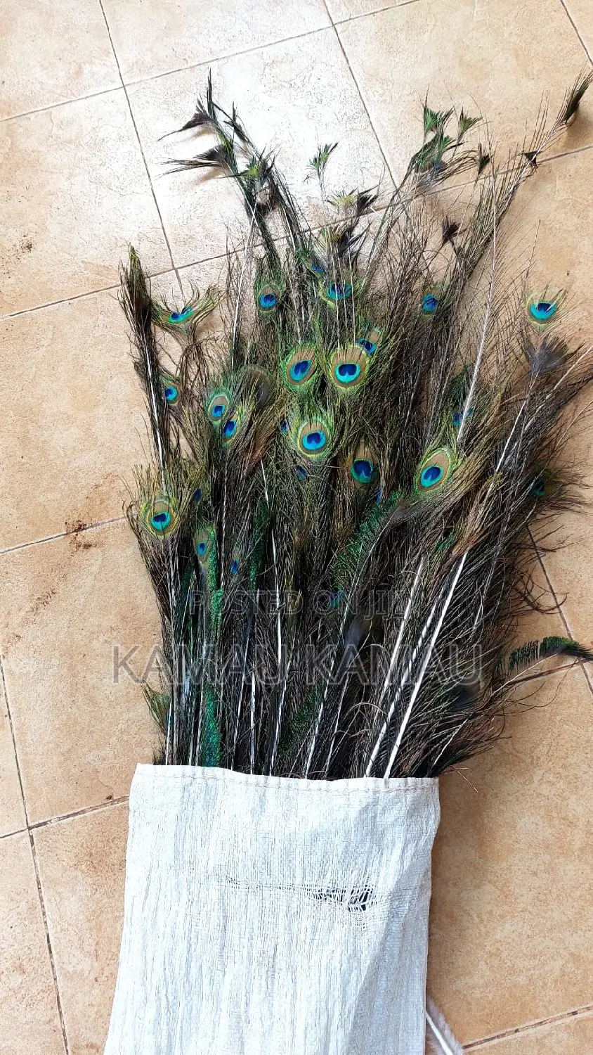 Peacock Decor