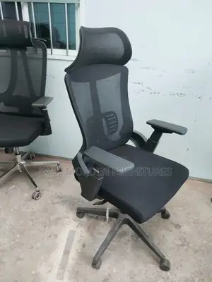 Orthopedic Office Chair