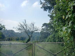 Land for Sale - thumbnail 2