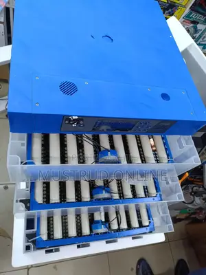 256 Eggs Incubators