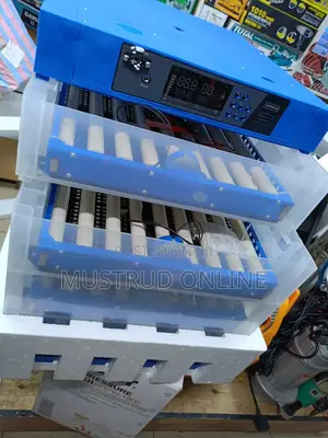 256 Eggs Incubators