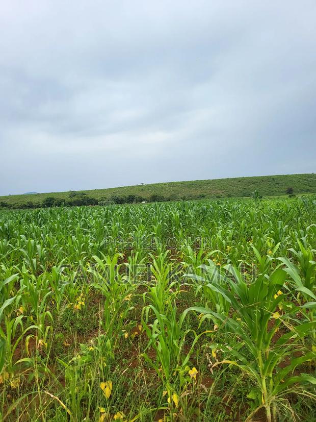 Solai 9acres Parcel for Sale - thumbnail 20