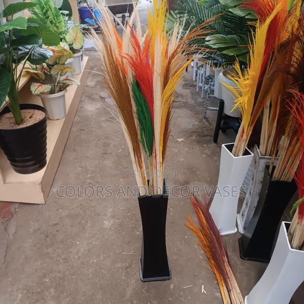 Pampas Grass Colors Available 150 Shillings